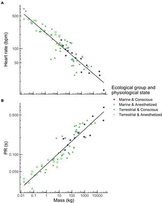 Electrocardiographic Scaling Reveals Differences in Electrocardiogram Interval Durations Between Marine and Terrestrial Mammals